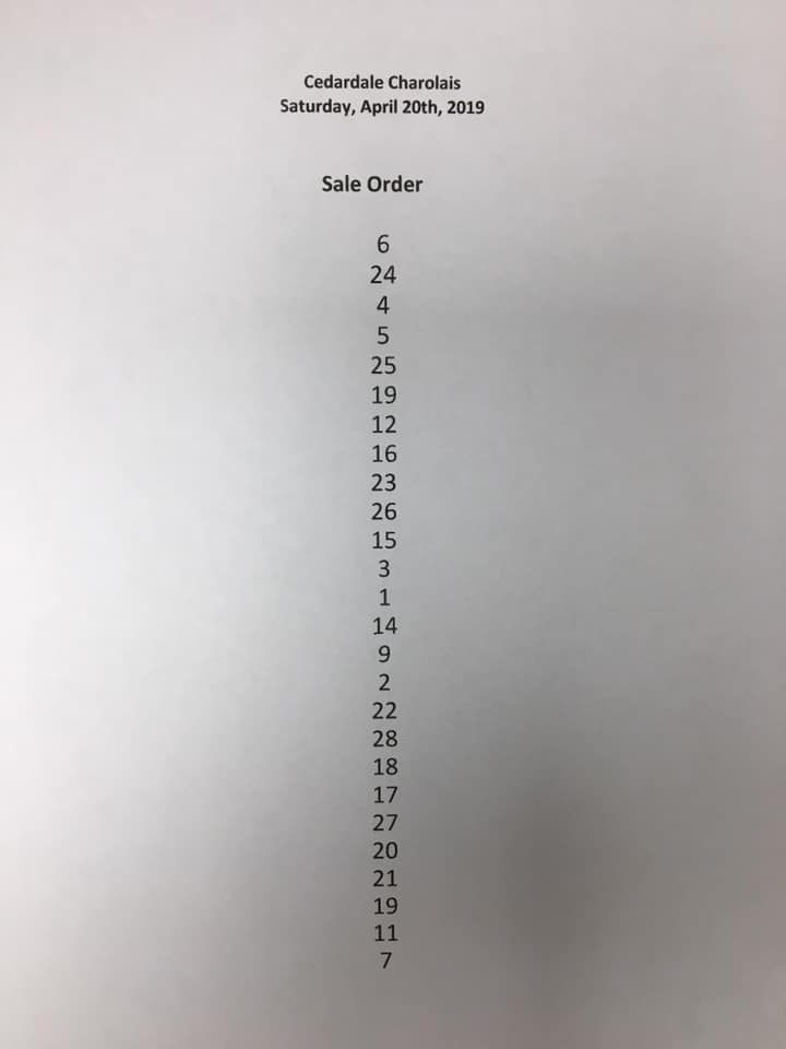 Sale Order 2019